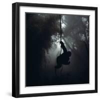 Mountain Gorilla Hanging on Vine-Adrian Warren-Framed Photographic Print