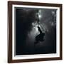 Mountain Gorilla Hanging on Vine-Adrian Warren-Framed Photographic Print