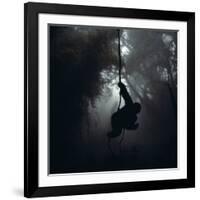 Mountain Gorilla Hanging on Vine-Adrian Warren-Framed Photographic Print