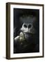 Mountain gorilla silverback male, portrait, Mgahinga National Park, Uganda-Eric Baccega-Framed Photographic Print