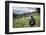 Mountain gorilla silverback on boundary wall, Rwanda-Christophe Courteau-Framed Photographic Print