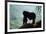 Mountain Gorilla-Adrian Warren-Framed Photographic Print