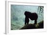 Mountain Gorilla-Adrian Warren-Framed Photographic Print