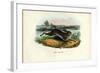 Mountain Hare, 1863-79-Raimundo Petraroja-Framed Giclee Print