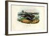 Mountain Hare, 1863-79-Raimundo Petraroja-Framed Giclee Print