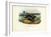 Mountain Hare, 1863-79-Raimundo Petraroja-Framed Giclee Print