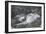 Mountain Hare (Lepus Timidus), Scottish Highlands, Scotland, United Kingdom, Europe-David and Louis Gibbon-Framed Photographic Print