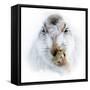 Mountain hare portrait-Karen Deakin-Framed Stretched Canvas