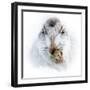 Mountain hare portrait-Karen Deakin-Framed Photographic Print