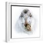 Mountain hare portrait-Karen Deakin-Framed Photographic Print