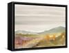 Mountain Haze-Megan Swartz-Framed Stretched Canvas