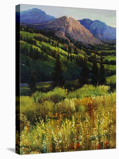 Mountain High-Tim O'toole-Stretched Canvas