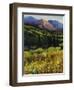 Mountain High-Tim O'toole-Framed Giclee Print