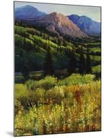 Mountain High-Tim O'toole-Mounted Giclee Print