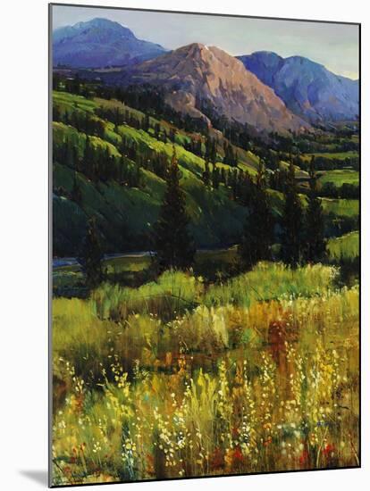 Mountain High-Tim O'toole-Mounted Giclee Print