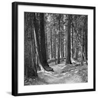 Mountain Hike-Erin Clark-Framed Art Print