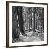 Mountain Hike-Erin Clark-Framed Art Print