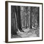 Mountain Hike-Erin Clark-Framed Art Print