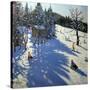 Mountain Hut, Morzine-Andrew Macara-Stretched Canvas