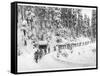 Mountain Infantrymen in the Vosges, 1918-Jacques Moreau-Framed Stretched Canvas