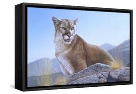 Mountain King-Rusty Frentner-Framed Stretched Canvas