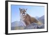 Mountain King-Rusty Frentner-Framed Giclee Print