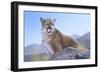 Mountain King-Rusty Frentner-Framed Giclee Print