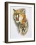 Mountain King-Barbara Keith-Framed Giclee Print