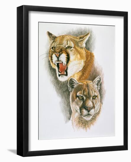 Mountain King-Barbara Keith-Framed Giclee Print