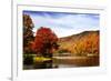 Mountain Lake Autumn-Alan Hausenflock-Framed Photographic Print