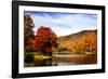 Mountain Lake Autumn-Alan Hausenflock-Framed Photographic Print