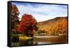 Mountain Lake Autumn-Alan Hausenflock-Framed Stretched Canvas