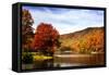 Mountain Lake Autumn-Alan Hausenflock-Framed Stretched Canvas