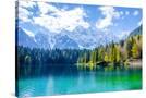 Stretched Canvas