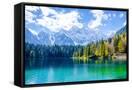 Canvas Black