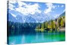 Stretched Canvas