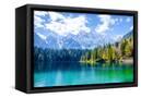 Canvas Black