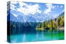 Stretched Canvas