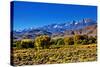 Mountain Landscape Along Hwy 395, California, USA-Joe Restuccia III-Stretched Canvas