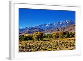 Mountain Landscape Along Hwy 395, California, USA-Joe Restuccia III-Framed Photographic Print