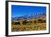 Mountain Landscape Along Hwy 395, California, USA-Joe Restuccia III-Framed Photographic Print