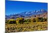 Mountain Landscape Along Hwy 395, California, USA-Joe Restuccia III-Mounted Photographic Print