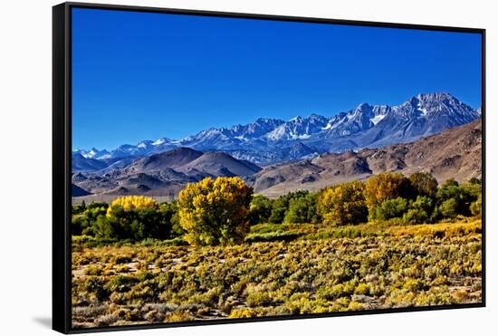 Mountain Landscape Along Hwy 395, California, USA-Joe Restuccia III-Framed Stretched Canvas