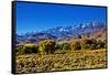 Mountain Landscape Along Hwy 395, California, USA-Joe Restuccia III-Framed Stretched Canvas