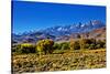 Mountain Landscape Along Hwy 395, California, USA-Joe Restuccia III-Stretched Canvas