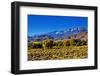 Mountain Landscape Along Hwy 395, California, USA-Joe Restuccia III-Framed Photographic Print