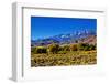 Mountain Landscape Along Hwy 395, California, USA-Joe Restuccia III-Framed Photographic Print