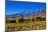 Mountain Landscape Along Hwy 395, California, USA-Joe Restuccia III-Mounted Photographic Print