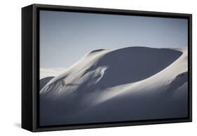 Mountain Landscape And A Single Tree In Winter. Pyrenees National Park. Aquitaine. France-Oscar Dominguez-Framed Stretched Canvas