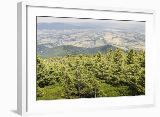 Mountain Landscape from Skrzyczne. Hillside Covered with Pine Trees and Tree Stumps in the Green Va-Curioso Travel Photography-Framed Photographic Print